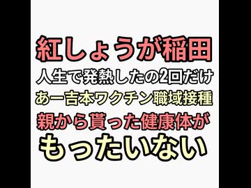 紅しょうが稲田　厚労省御用達吉本職域接種　生まれてから2回しか発熱経験ないほどの健康優良児　その2回がワクチンコロナという地獄