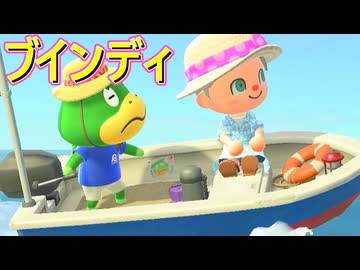 【あつまれ どうぶつの森】花火大会がある8月ですが、今日もブインディは駆け回る。