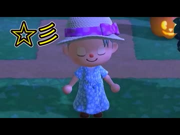 【あつまれ どうぶつの森】あれ？流れ星？｜星の降る夜に一回り。