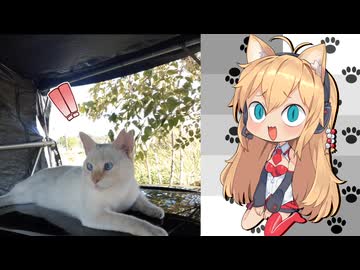 マキにっき【ソフトウェアトーク劇場】車に乗るんじゃないよ