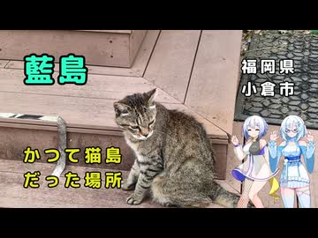 雪さん＆ななさんののんびり離島旅 ～藍島～