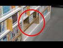 市立図書館で391冊が所在不明に　赤川次郎さん60冊　東野圭吾さん39冊…特定の著者の蔵書がなくなっていることに職員が気づき被害届　福岡県北九州市