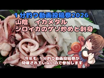 [１分釣り動画投稿祭2026]きりたんの釣果酒肴禄　シロイカのゲソ焼きと刺身　