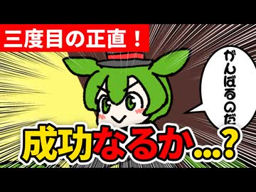 テーブルクロス引き　15日目