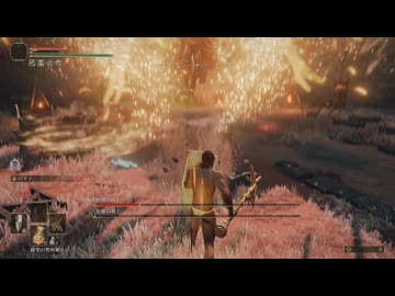 【ELDENRING】素寒貧LV60初期HP遺灰なし防具なしで坩堝の騎士＆混種の戦士撃破【NintendoSwitch2】