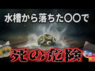 【2014】『水槽から世界最強の猛毒』原因不明の謎の症状を次々と発症…フグ毒の数十倍危険な「マウイイワスナギンチャク」による集団中毒事件『アクアリウムパリトキシン中毒事件』を解説（ﾘﾒｲｸ