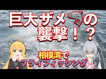 巨大ザメの襲撃！？ 相模湾で海のフライフィッシング！！【 #弦巻マキ #小春六花 実況】 #フライフィッシング