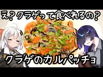え？クラゲって食べれるの？クラゲのカルパッチョ(Carpaccio di medusa)【イタリア料理】