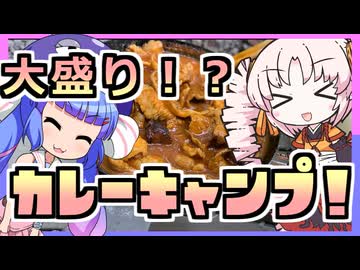 ウナつい！デカ盛り！？焚火なキャンプでカレーライス！