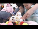 北九州市でベビリンピック（赤ちゃん運動会）