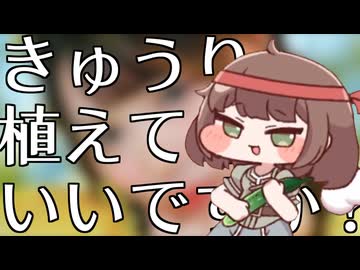 きゅうりうえてもいいですか？