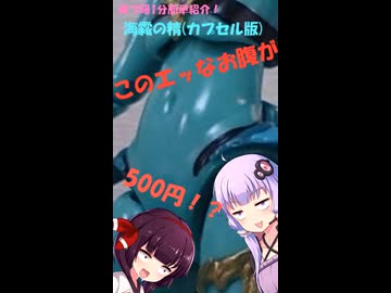 【美プ研1分紹介＃1】海霧の精(カプセル版)