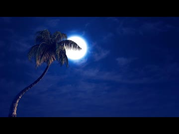 【初音ミク】カリブで生まれた月/La'cryma Christi【VOCALOIDカバー】