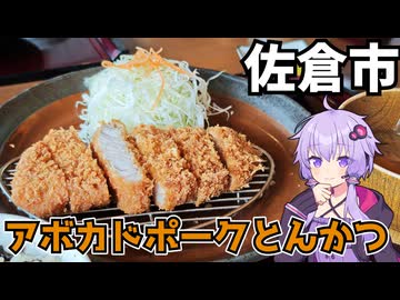 【車載】佐倉市にある行きそうで行っていなかったとんかつ屋【千葉県のグルメ】