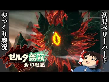 【初見ベリーハード#28】ベリハで地底で空中戦をするというややこしい状況になる騎士ゴーレムとカラモ【ゼルダ無双封印戦記/ゆっくり実況】