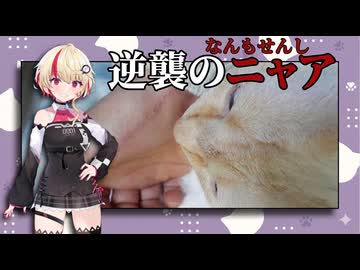 ユニにっき 【ソフトウェアトーク劇場】お前がヤッタンだよ！