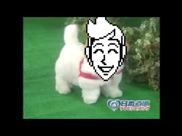 愛花ロボ「フラウリィ」