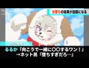 るるかさん、光堕ちしたかと思いきやとんでもない姿を披露し話題になるwww
