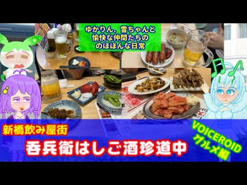 【自作立ち絵投稿祭２０２６参加動画】ゆかりん、雪ちゃんと愉快な仲間たちの、のほほんな日常　新橋飲み屋街・呑兵衛はしご酒珍道中（VOICEROID・VOICEVOX）