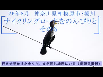 【東京・神奈川の境川】残暑のなか、のんびりポタリング その6