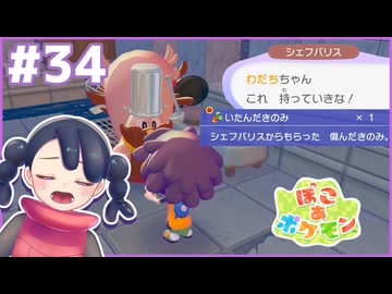なんか悪いことした！？｜ぽこ あ ポケモン #34