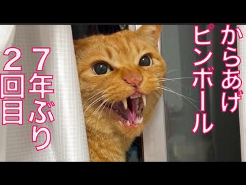 からあげピンボール、再び