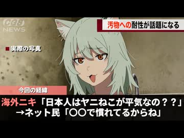 人気の「WaWaWa」動画 539本 - ニコニコ動画