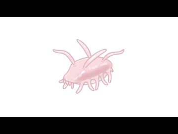 大きななまこ / 歌愛ユキ