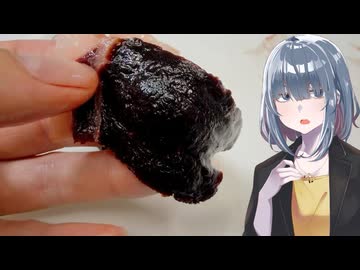 「イルカ」