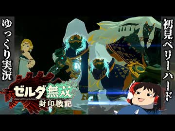 【初見ベリーハード#29】ベリハで騎士ゴーレムのひみつの一端に触れる時を超えしゼルダ【ゼルダ無双封印戦記/ゆっくり実況】
