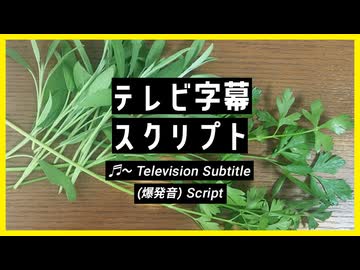 【AviUtl2】テレビ字幕【スクリプト配布】