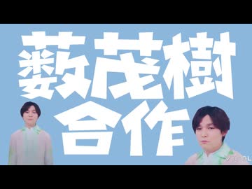 薮茂樹合作