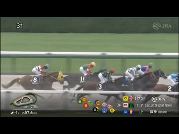 2026/09/06 阪神10R オークランドレーシングトロフィー(3歳以上3勝クラス) ヨリノレジェンド