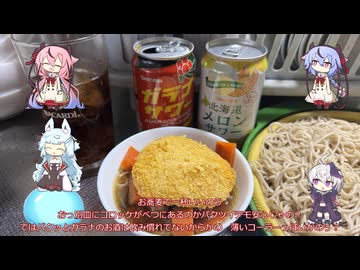コトエ様と居候＃１６　ころっけとうどんとお蕎麦で晩酌？　ゆるっと酔いたい投稿祭2026