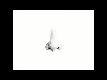 白い花 / AiSuu