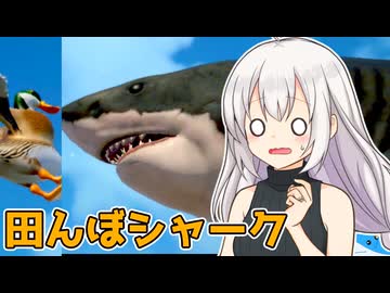 【田んぼシャーク】突然古いソフトに戻された紲星あかりVSアイガモVSサメ【VOICEROID実況プレイ】