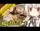 揚げバナナ【ナースロボ】