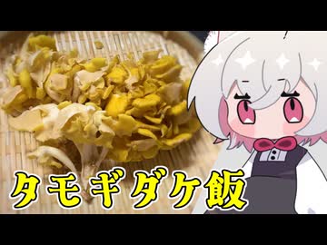 タモギダケ（初見）【小夜SAYO】