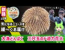 【釧路どんぱく三尺玉のド迫力】ゆる釧路ニュース　第18号