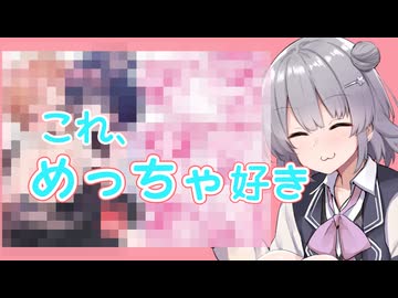 約1年ぶりにDLsiteで買い物をした【CeVIO車載】
