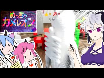 うわぁ！花ちゃんめっちゃカメレオン！【めっちゃカメレオン】
