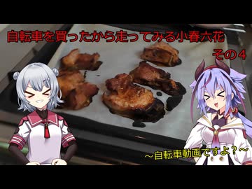 自転車を買ってみたから走ってみる小春六花　その４