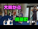 ふたばの じゃない旅#31 大阪から精華町まで歩く