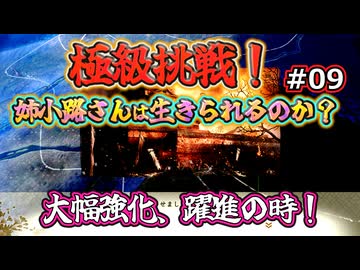 ＜信長の野望・新生PKCE＞大豊作？姉小路家の時来る？（姉小路家、第9話）