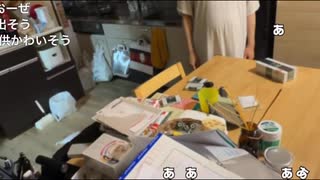 人気の「ゆのん(生放送主)」動画 2159本 - ニコニコ動画