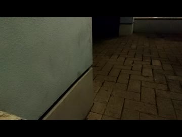 雨116回目の停止 The 116th rain stop 第116次雨停 本日午後5時過ぎイオンのレッドクリフにて桃缶を立てておきますので是非布施をお願いします