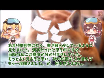 【ゆっくり怖い話】天井の向こうから【人怖】54