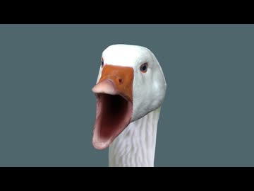 【Cyriak】HONK