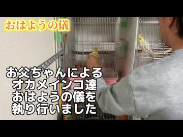 【確信犯】お父ちゃん大好きすぎて、ハウスに戻ったフリして即Uターンｗ