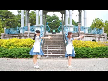 【うさぎカレー】とんとんまーえ！　踊ってみた【お揃いで一緒に！】